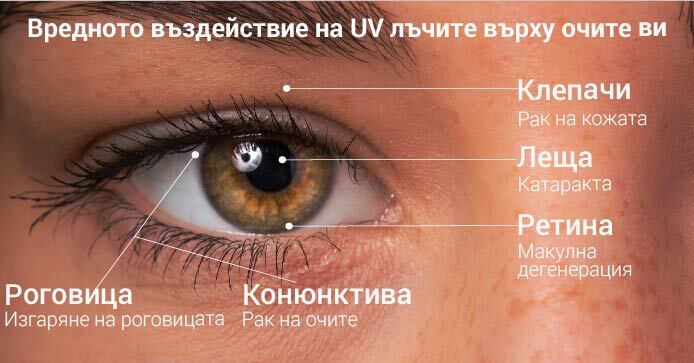 Увреждащият ефект на UV лъчите върху очите ни