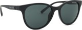 Armani Exchange 0AX4144SU 815887 54
