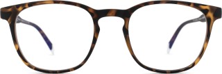 Barner Screen Dalston Tortoise 24999
