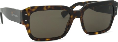 Dolce & Gabbana 0DG 4460 502/73 56