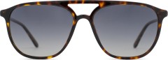 Giorgio Armani AR8179 5026T3 56