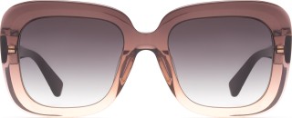 Hawkers Bronze Butterfly 4046