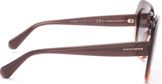 Hawkers Bronze Butterfly 4047