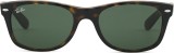 Ray-Ban New Wayfarer RB2132 902 52 43666