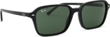 Ray-Ban Raimond RB2231 901/31