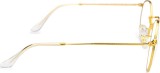Ray-Ban Round Metal RB3447 9196BL 11151