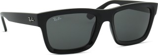 Ray-Ban Warren RB4396 667787